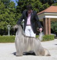 /album/galerie-der-sieger/karakush-in-champagne-006-jpg/